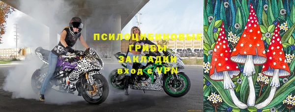 бутират Горняк