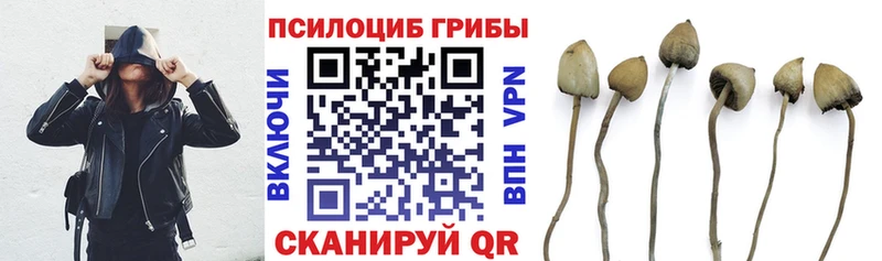 Псилоцибиновые грибы GOLDEN TEACHER  Острогожск 